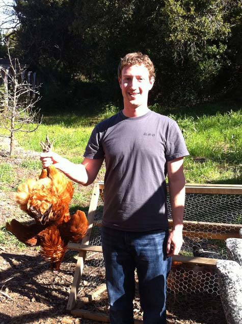 Mark Zuckerger con una gallina