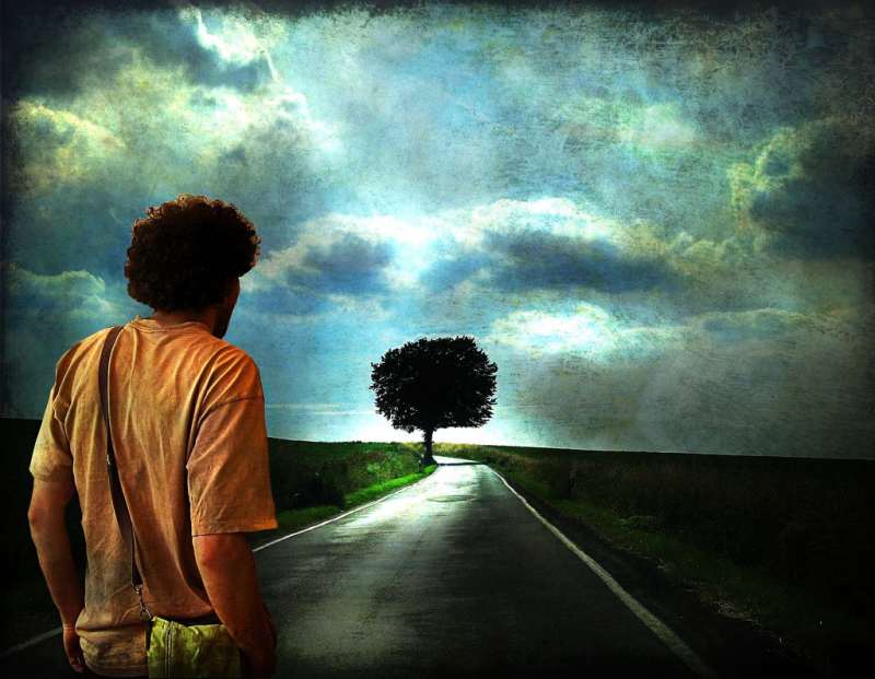 Los caminos de la vida - El destino y la renuncia