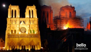 La Catedral de Notre Dame: historia de una sobreviviente