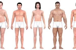 Tipos de cuerpos de hombre