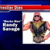 Falleció “Macho Man" Randy Savage en fatídico accidente