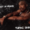 The Outlawz & Tupac Shakur